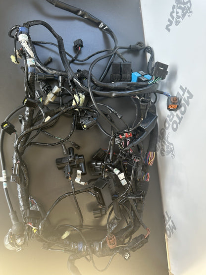 TRIUMPH SPEED TRIPLE 1050RS Wiring Harness Complete Wiring Loom 2018-20 T2502526