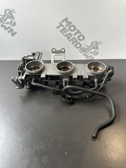 Triumph Speed Triple 1050 Throttle Bodies 2011-2015 Speed Triple Throttle Bodies