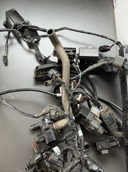 TRIUMPH STREET TRIPLE 675R WIRING LOOM Engine Wiring Loom 2013-2016