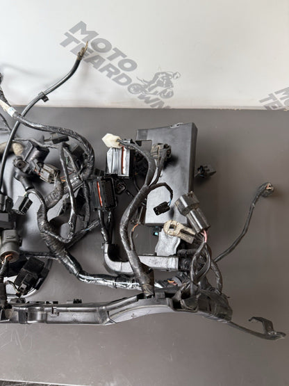 TRIUMPH STREET TRIPLE 675R WIRING LOOM Engine Wiring Loom 2013-2016
