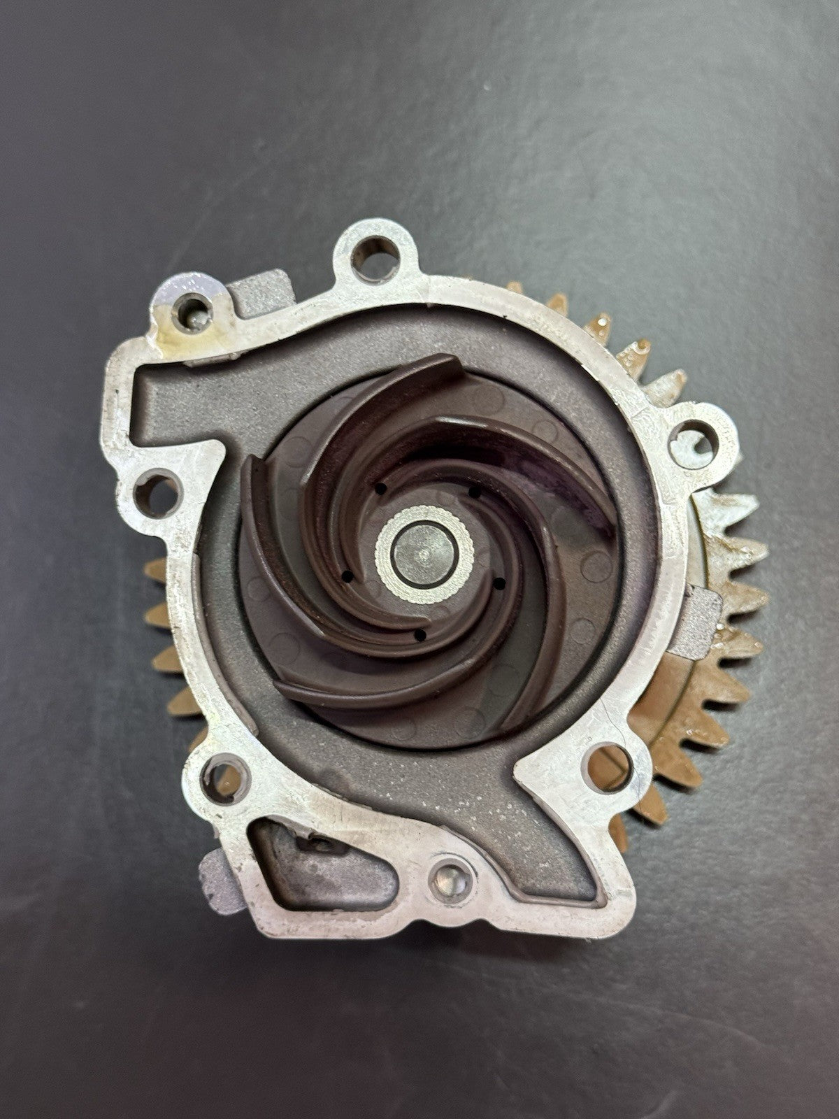 55095433-4da5-4ec8-a434-ed887072dd95