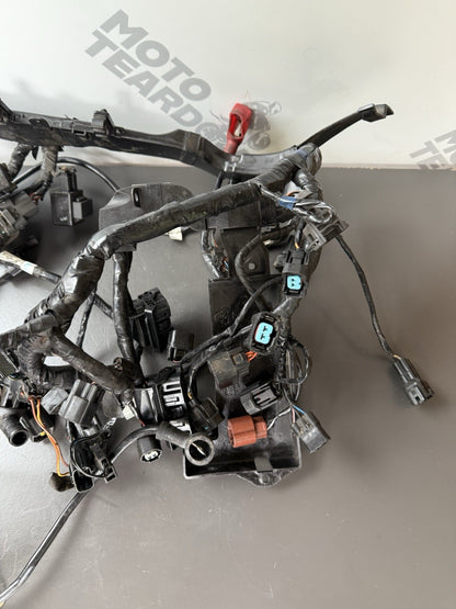 TRIUMPH STREET TRIPLE 675R WIRING LOOM Engine Wiring Loom 2013-2016