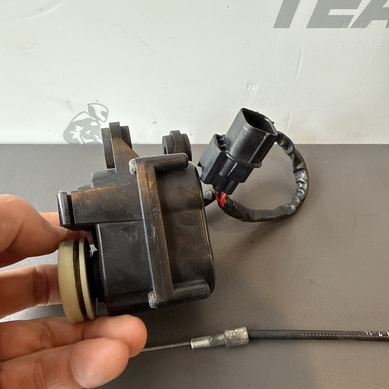 828d367a-c709-45e8-a150-7523b6033d76