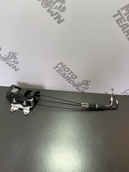 c1ea020e-8ffb-4653-8eeb-d628a128e013