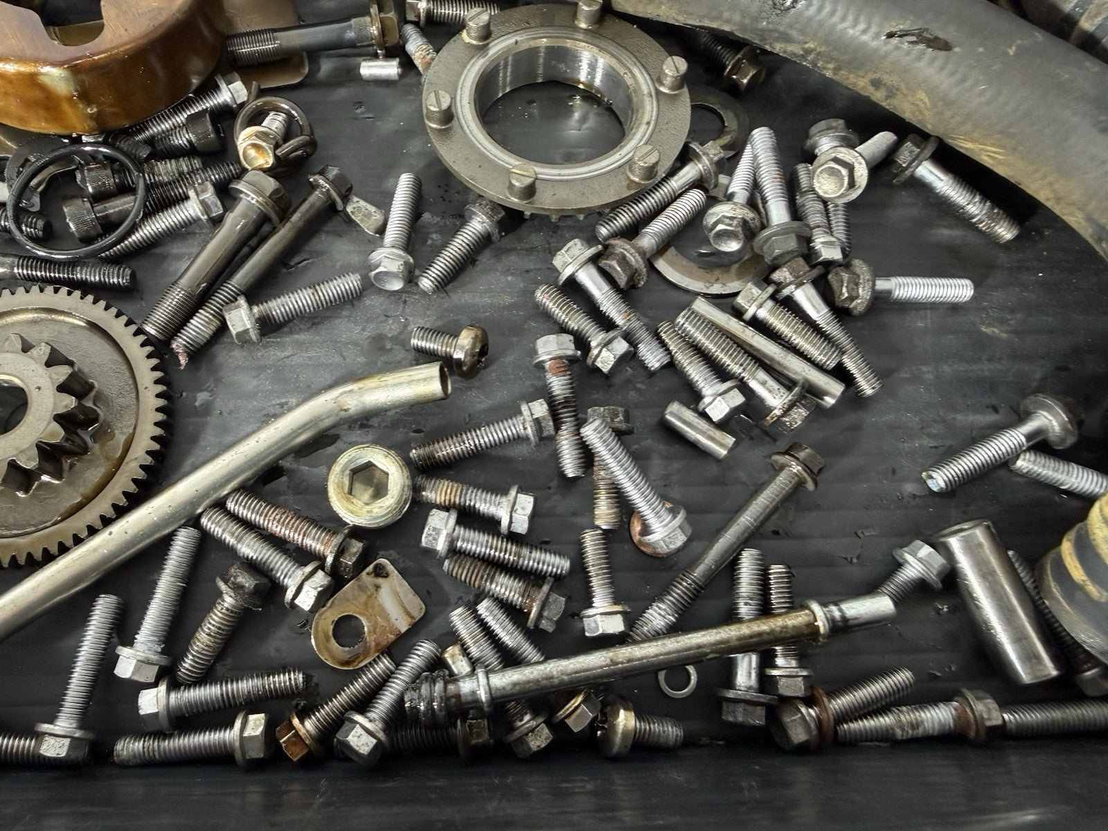 bc5d4724-6a30-4985-8691-01b7a447c2fd