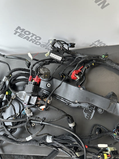 Aprilia Tuono V4 1100 Factory 2017- Engine wiring loom Complete harness 2D000304