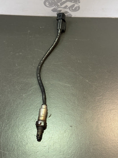 c1926161-35fc-4b8f-8b23-8d47963beb60