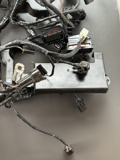 TRIUMPH STREET TRIPLE 675R WIRING LOOM Engine Wiring Loom 2013-2016
