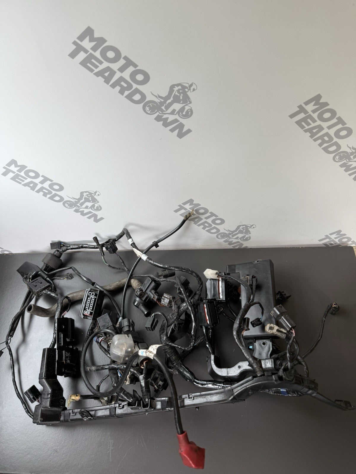 TRIUMPH STREET TRIPLE 675R WIRING LOOM Engine Wiring Loom 2013-2016