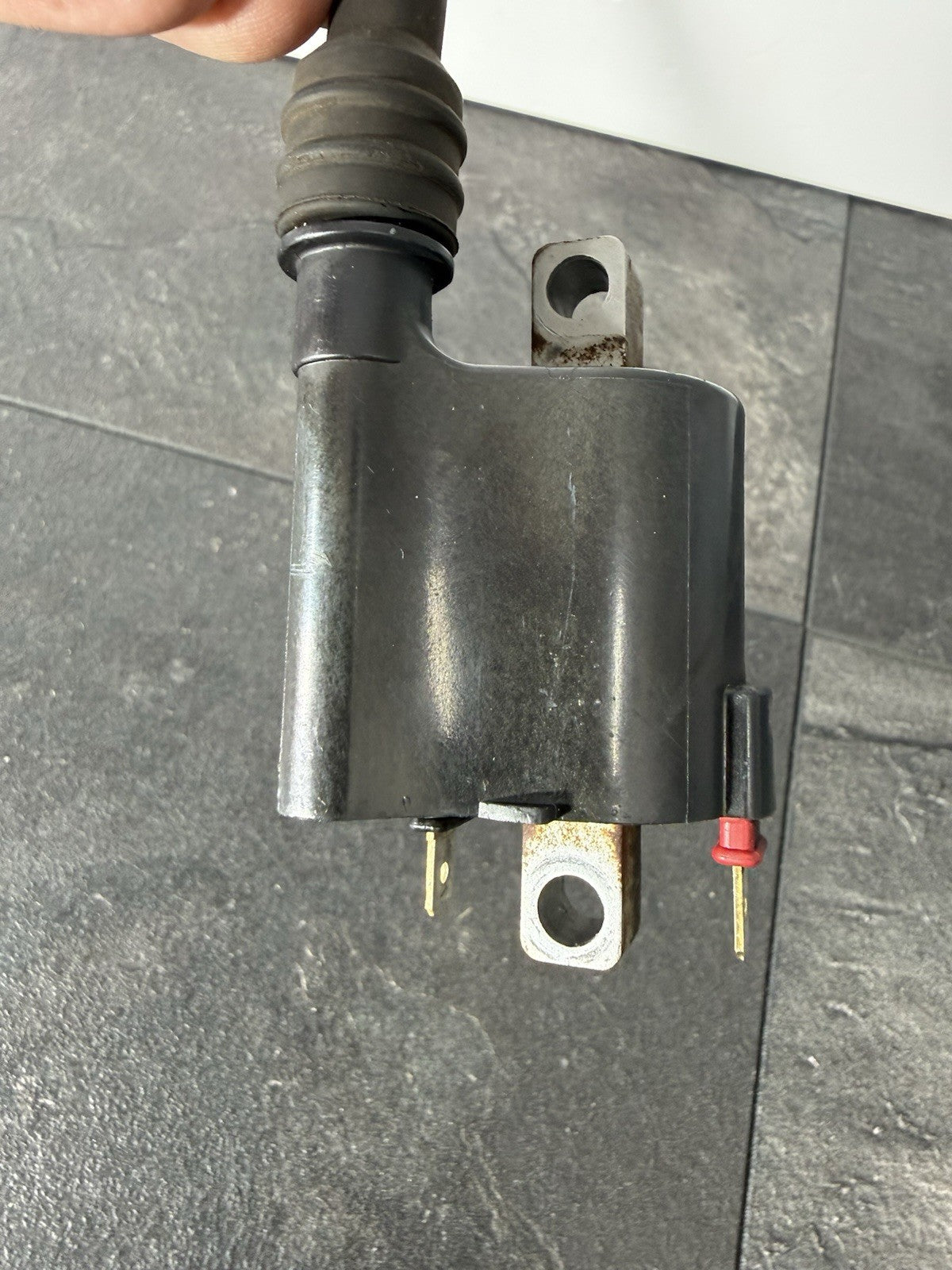 c3bd200d-cee7-4312-ba0e-3342a4000556