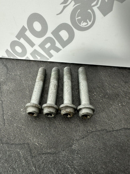 KTM 790 Duke 2020 Caliper Mount Bolts Brake Mount Bolts 3766 Miles 2018 2019 OEM