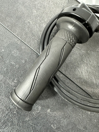 79a1f4c0-7535-41bb-ac81-388985897674