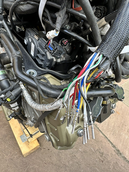 Ducati Multistrada V4 Pikes Peak 2022 Engine Wiring Loom Throttle Bodies 2023