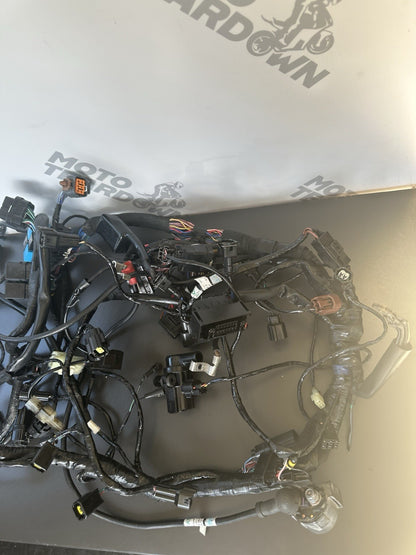 TRIUMPH SPEED TRIPLE 1050RS Wiring Harness Complete Wiring Loom 2018-20 T2502526