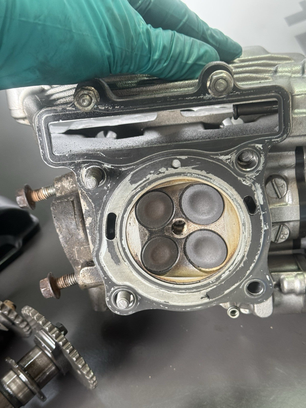 423a6622-4b0e-4543-b71b-3ea0c00a9bce