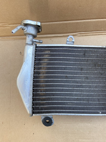 Ducati Panigale 1199 Cooler Radiator Water 1199 Radiator *BENT* 1199 Radiator