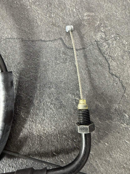 2afbd147-5423-4b0a-8adf-09a7eb7f3263