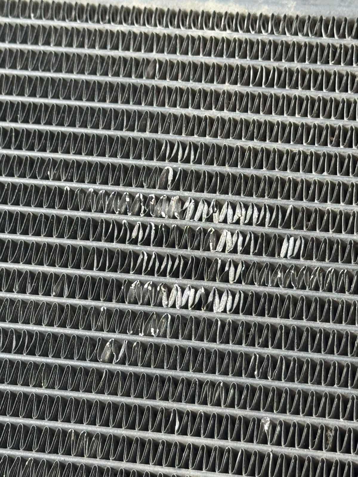 TRIUMPH TRIDENT 660 Radiator And Fan 2021-2024 Water Tight But Slight Kinked OEM