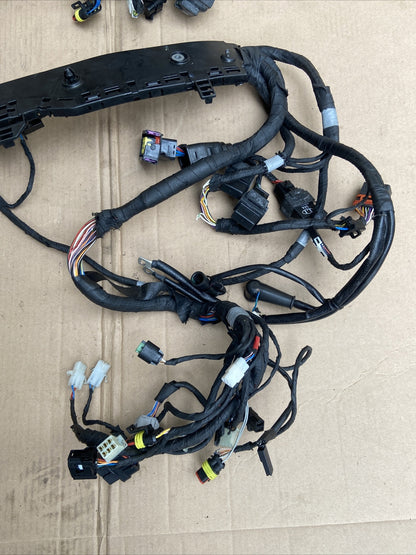Aprilia Tuono V4 1100 Factory 2019 wiring loom harness Spares / Repairs