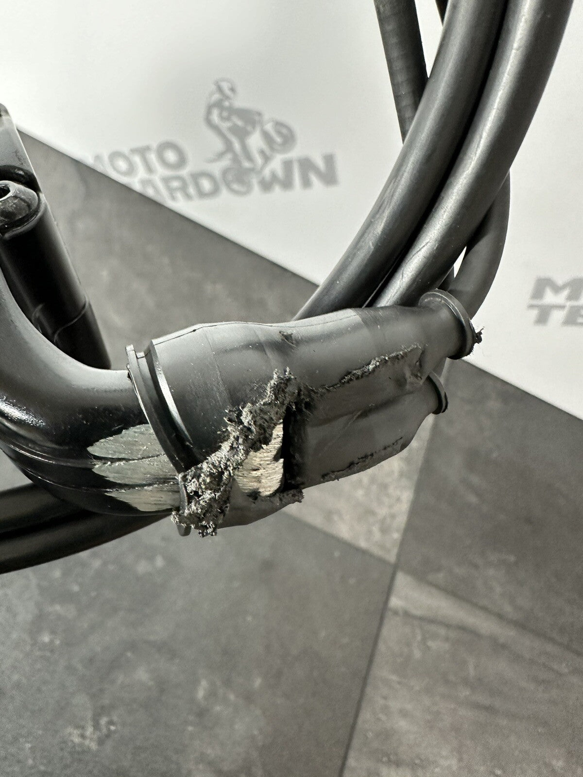 b5231574-5684-4d69-a0ae-1a81d7b89248