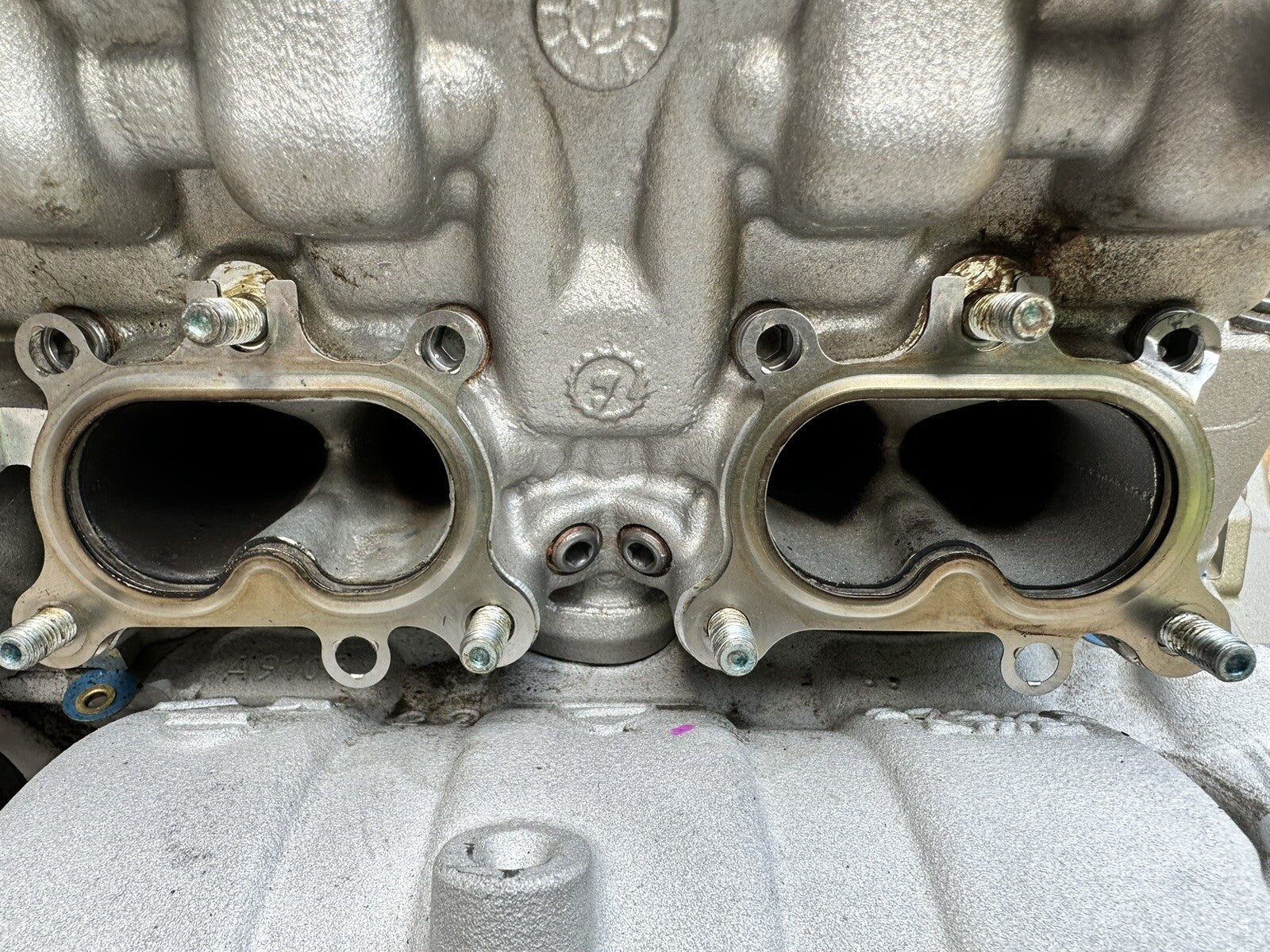 Ducati Multistrada V4 Pikes Peak 2022 Engine Wiring Loom Throttle Bodies 2023