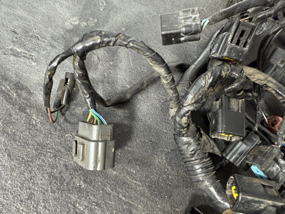 e556505c-b2be-44ac-a592-7894157dcd8a