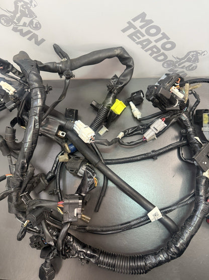 a3533dcb-a71f-4963-aaa9-c5f4a3b69247