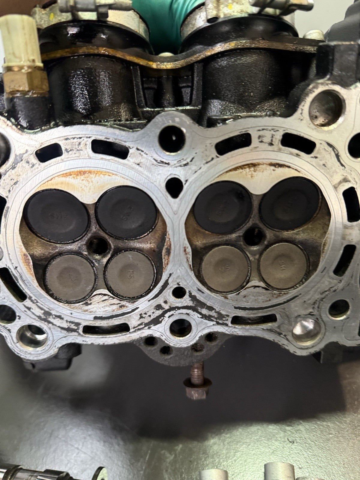 a5f175e6-5f60-412d-8e09-eb9dc2282be6