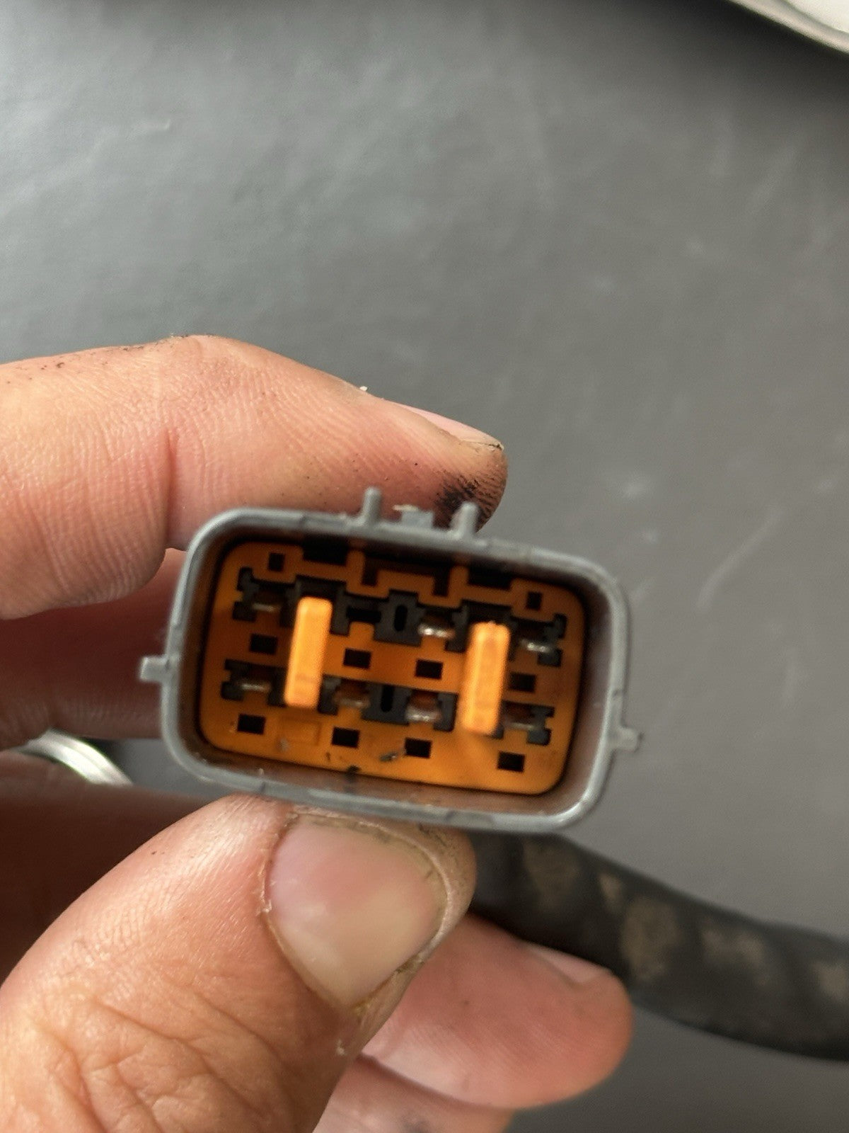 0376e0c2-d09d-483a-be89-1b1178cdbf00