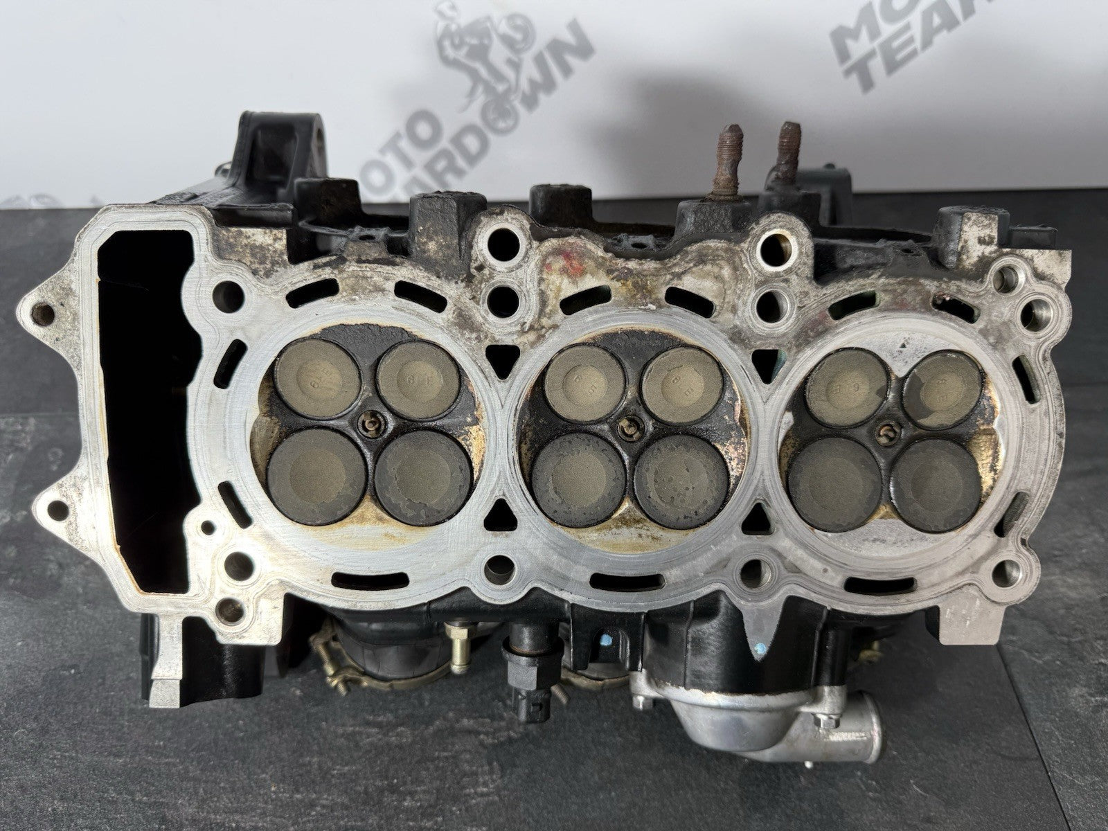 b9076b91-ab87-408a-8832-2fe9b284cd28