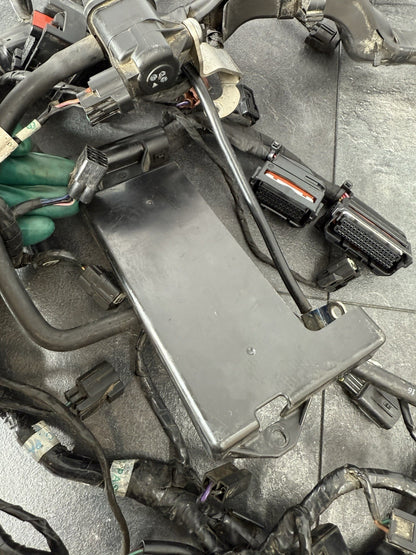 Triumph Street Triple 765 R 2017 Full Wiring Loom Harness 18498 Miles 2018-2021