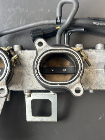 Triumph Speed Triple 1050 Throttle Bodies 2011-2015 Speed Triple Throttle Bodies