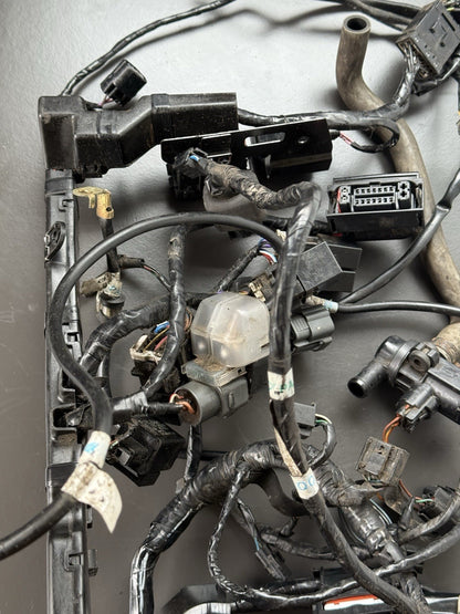 TRIUMPH STREET TRIPLE 675R WIRING LOOM Engine Wiring Loom 2013-2016