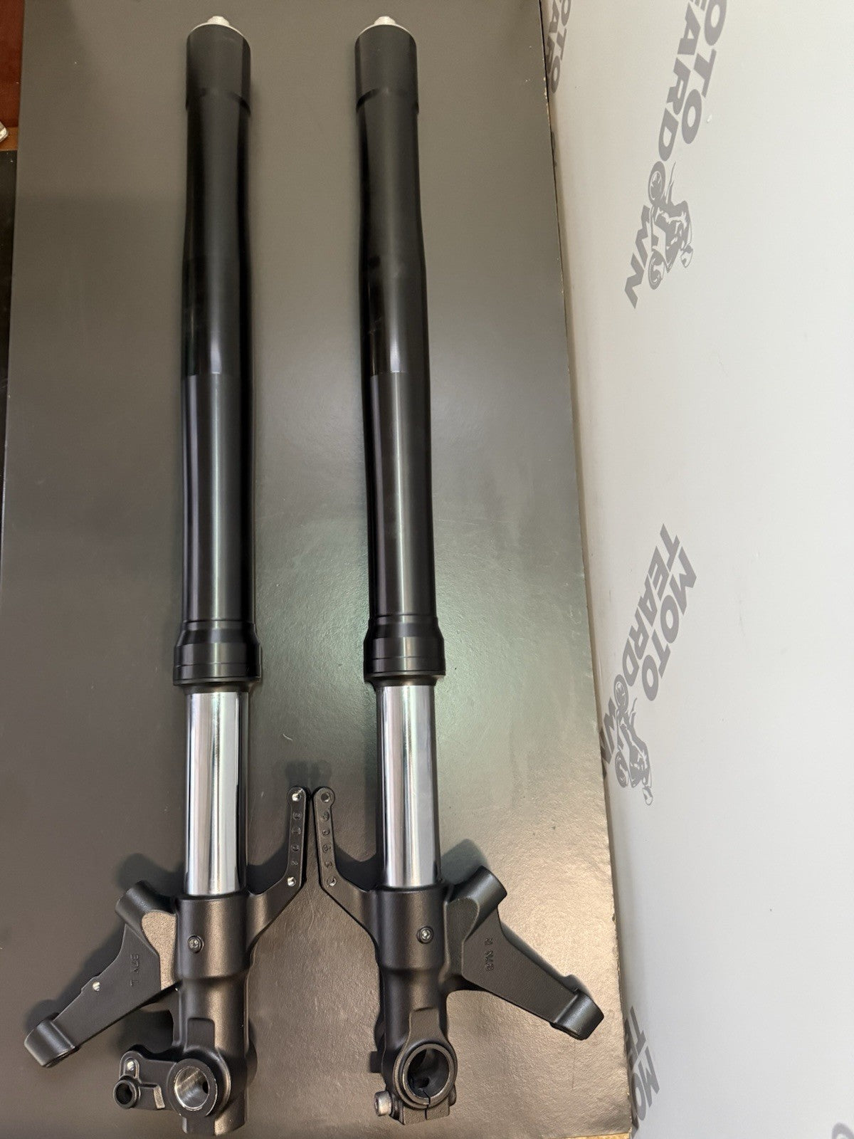 3b49381a-31a7-4023-b3ff-f30040a87de6