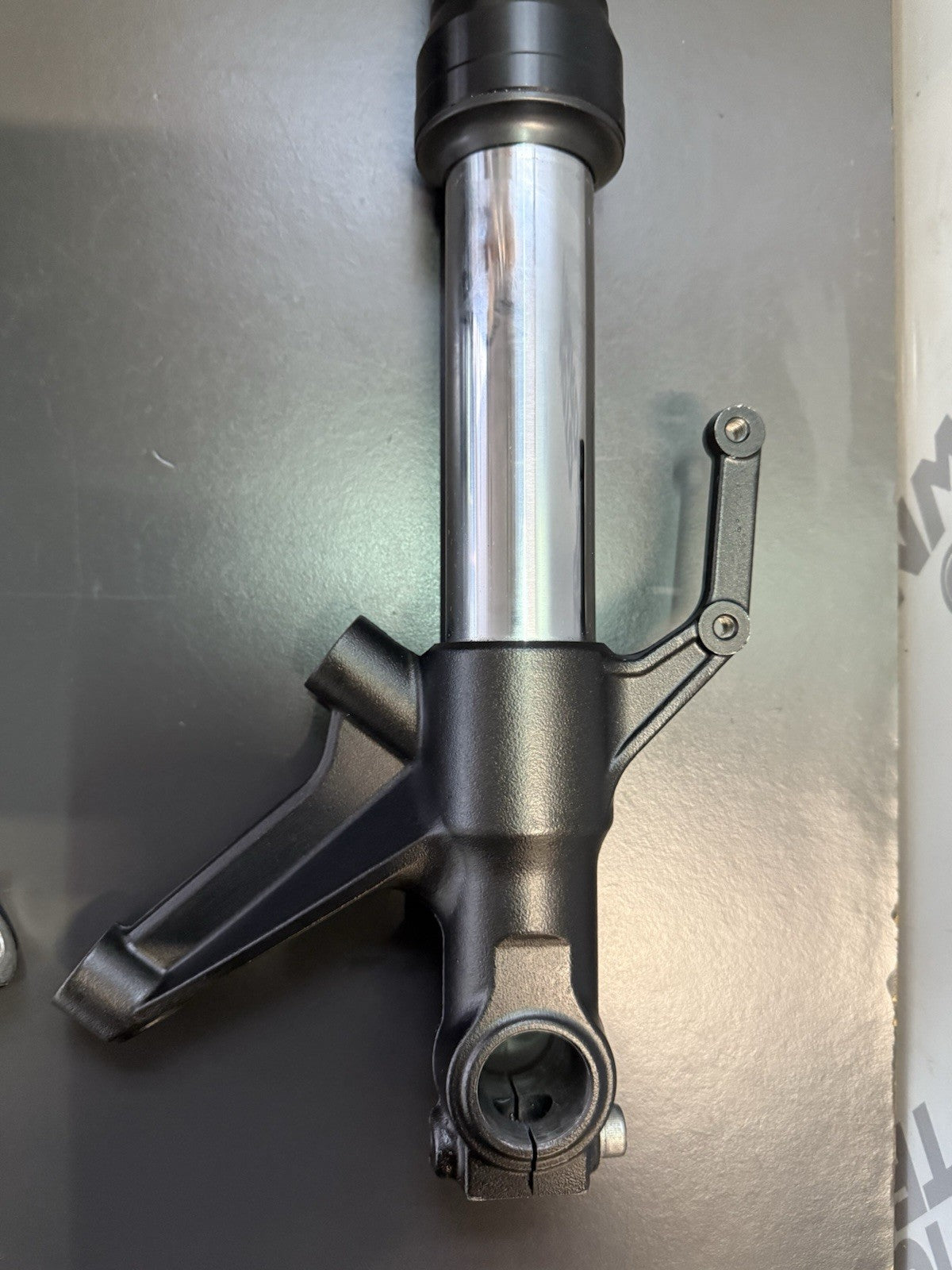 54573d88-3bf4-4119-88b7-8b4ddc37d8df