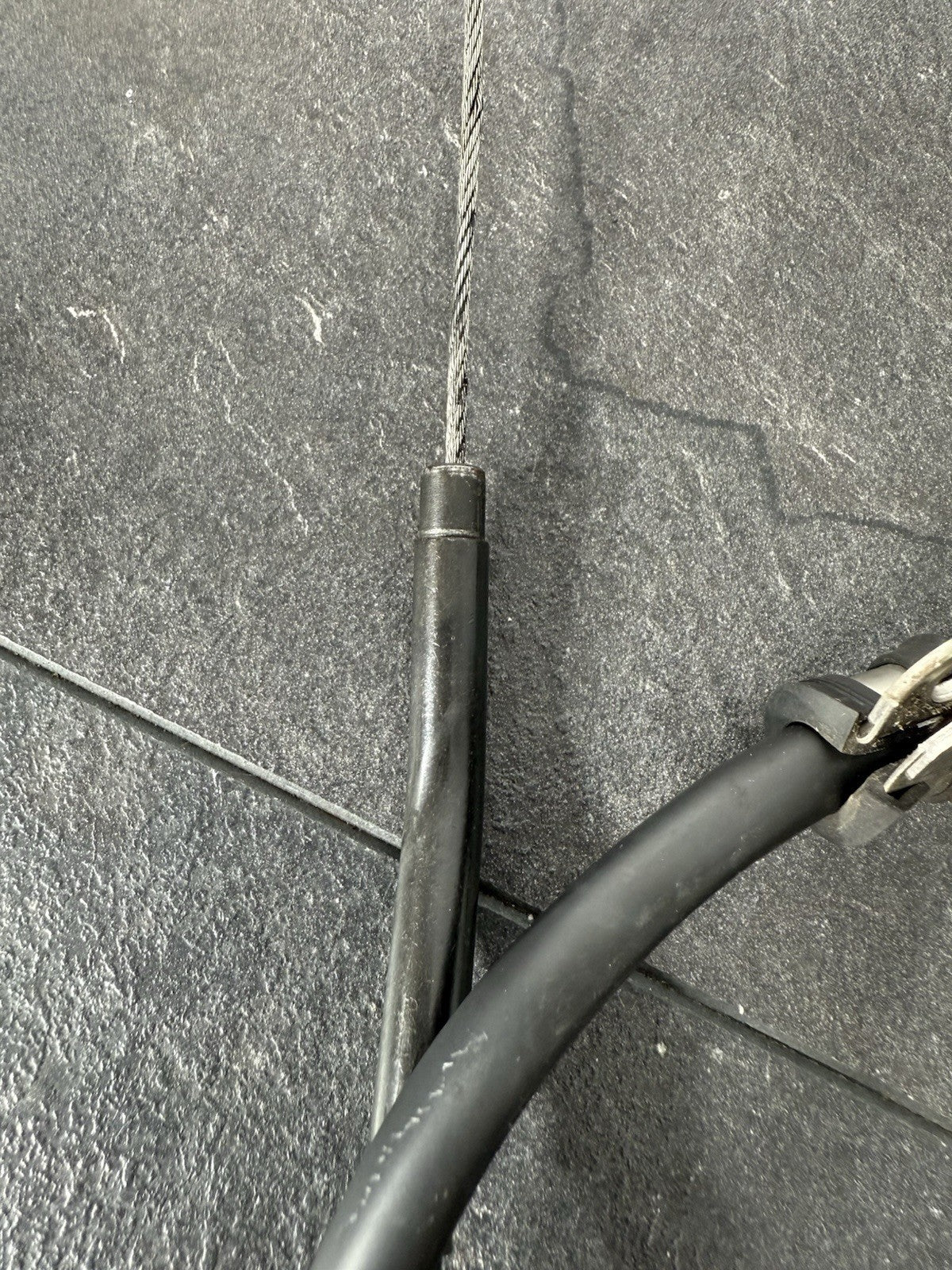 2231fe25-69d0-4294-9c8e-1baaa9cccfdf