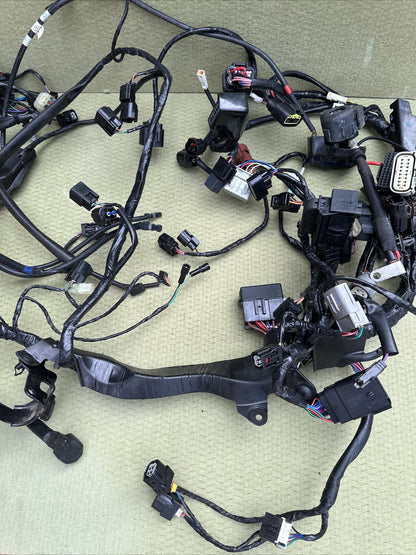 Triumph Speed Triple 1200 RR Main Wire Harness Wires Wiring Loom Full Loom 2022