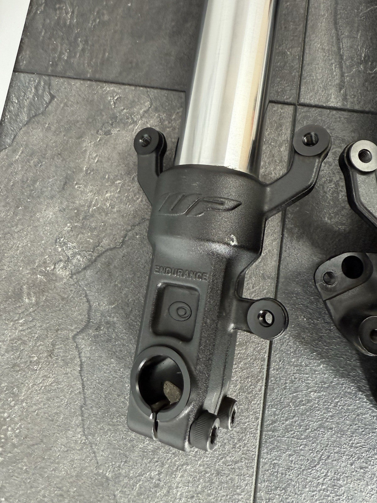 48237172-61f8-4053-83f8-ff548e494ae8