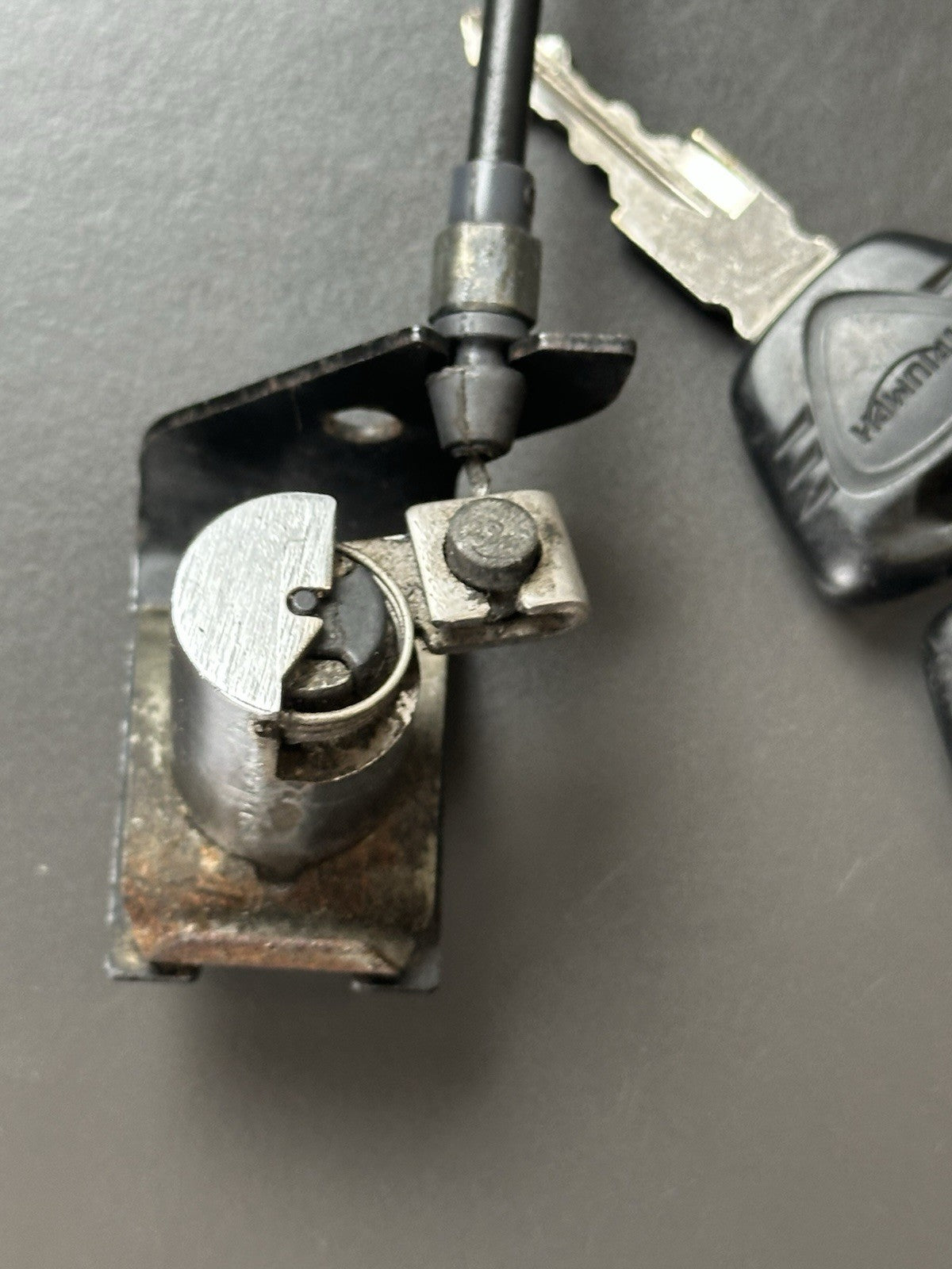 c26fedce-3243-4bce-b34c-5cc598fa8c4e