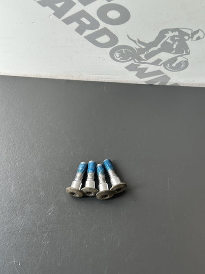 Triumph Street Triple 765R 765RS Rear Disc Brake Bolts Rear Disc Bolts 2017-2019