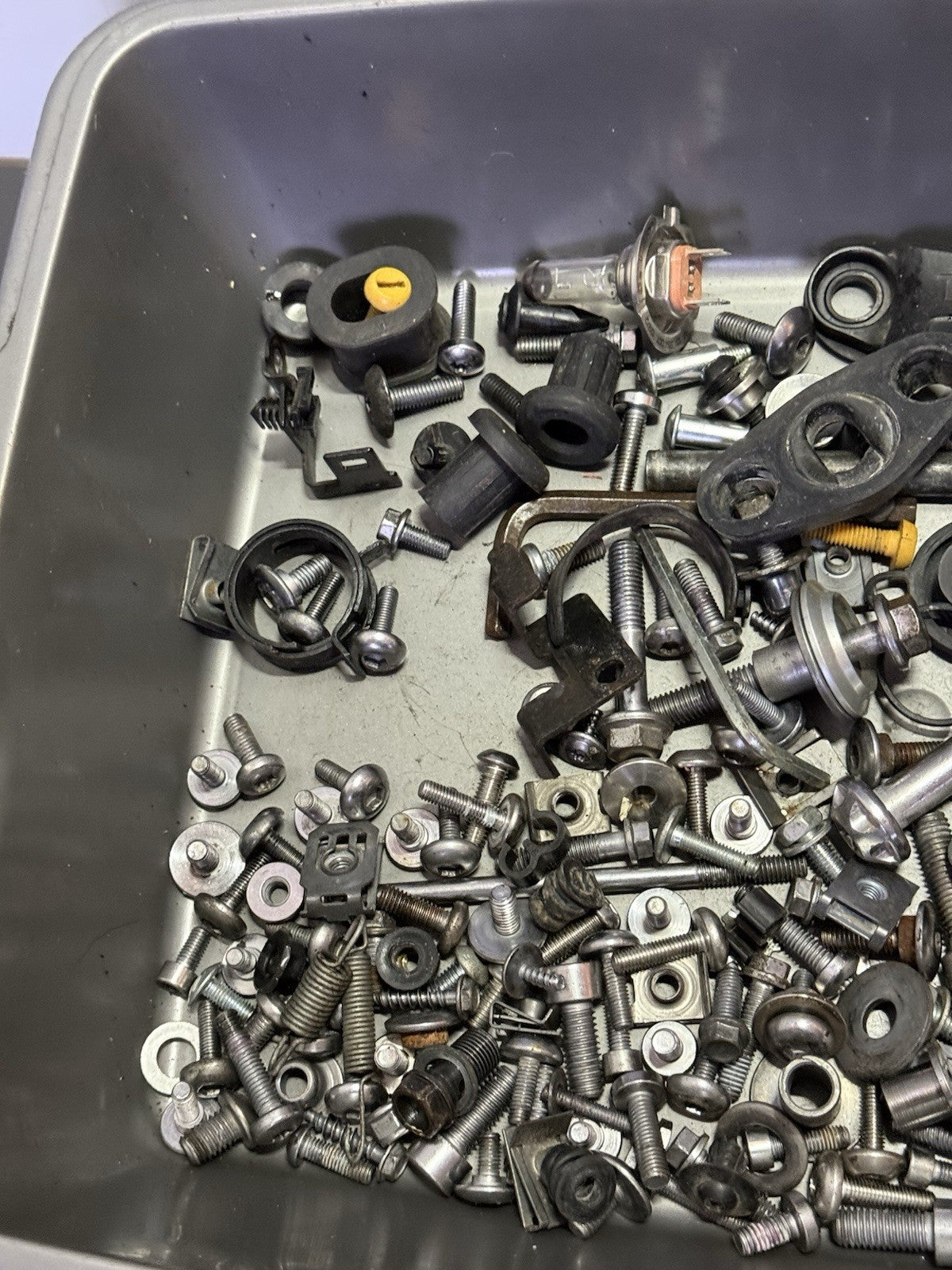 f8efad89-dd46-426e-9efe-9d66b6fb1ed9