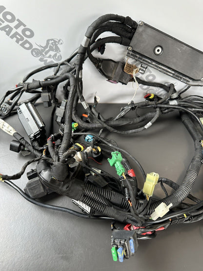 Aprilia Tuono V4 1100 Factory 2017- Engine wiring loom Complete harness 2D000304