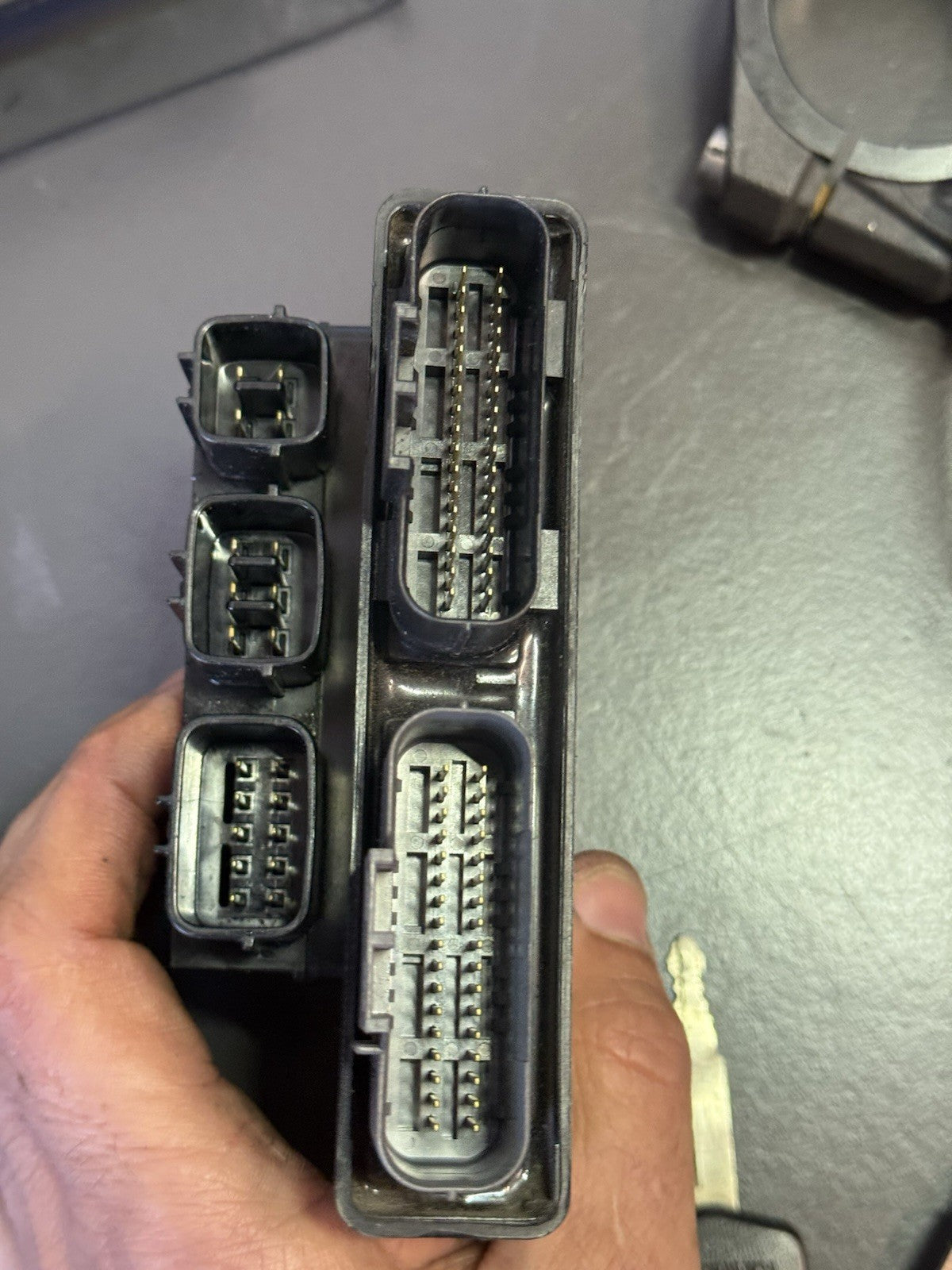 ed53946e-42c5-48db-a385-5fa749eab51a