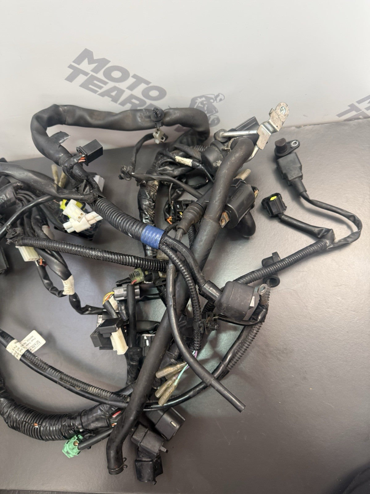 81518179-558a-4947-b3ae-dfe7379c598c