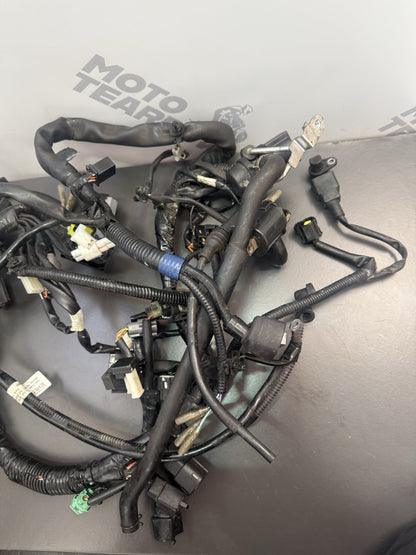 81518179-558a-4947-b3ae-dfe7379c598c