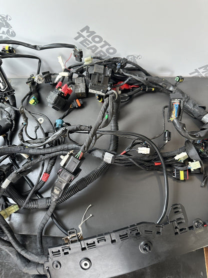 Aprilia Tuono V4 1100 Factory 2017- Engine wiring loom Complete harness 2D000304