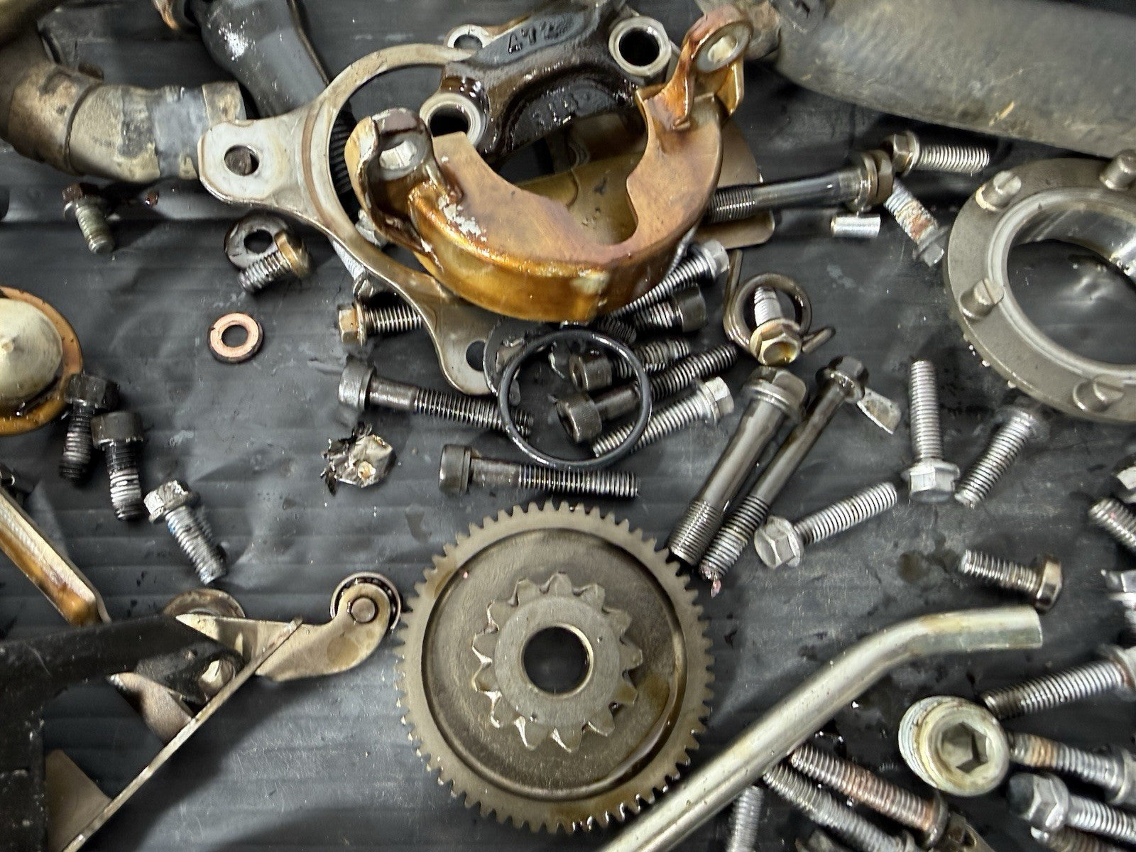 5c78cccf-34ec-4f6f-b161-33e39d07970e