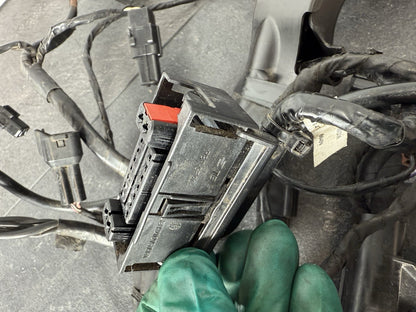 Triumph Street Triple 765 R 2017 Full Wiring Loom Harness 18498 Miles 2018-2021