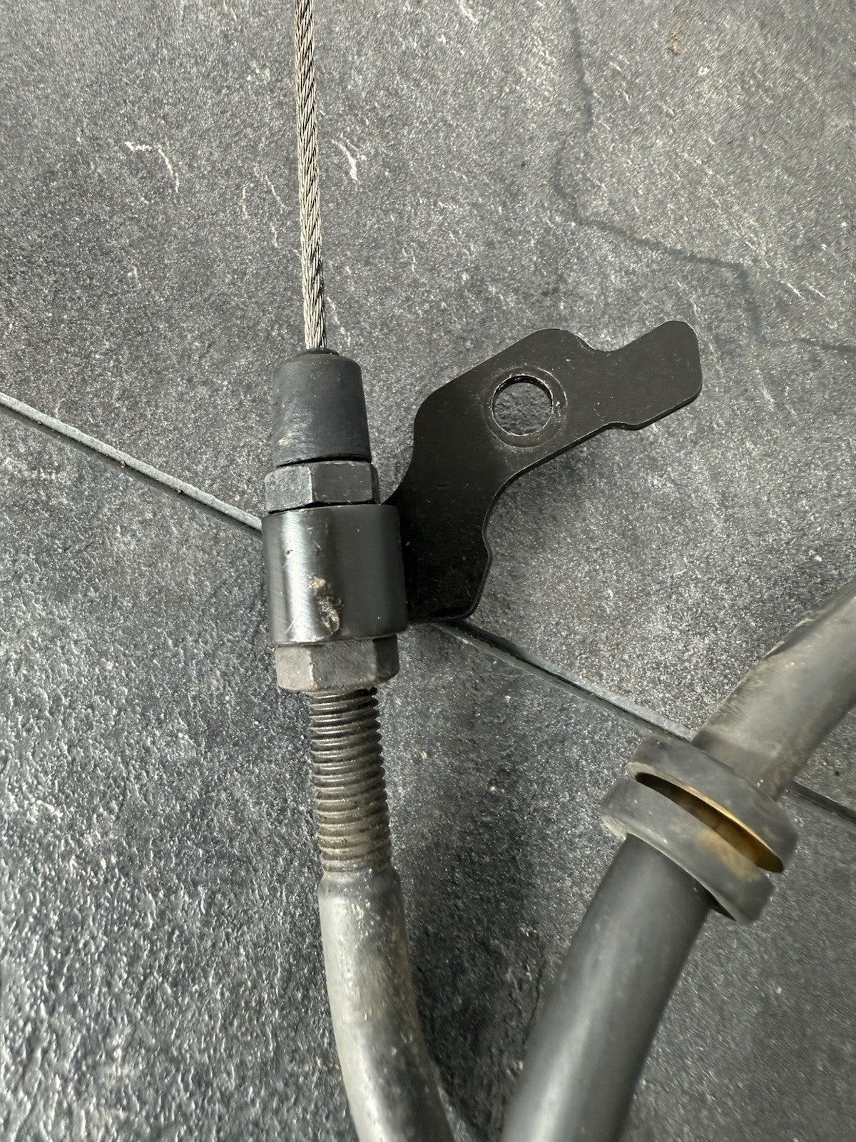 c25080f6-716d-491f-bcaa-fe52b79bed95