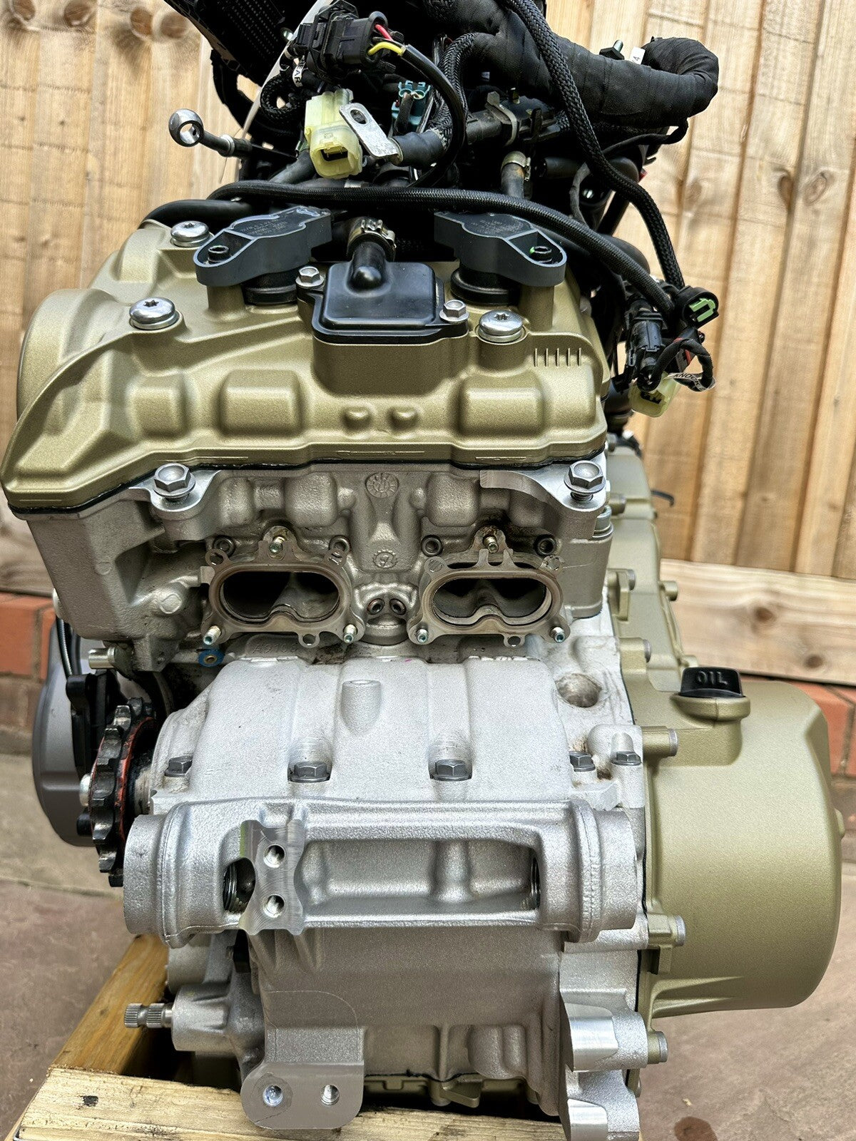Ducati Multistrada V4 Pikes Peak 2022 Engine Wiring Loom Throttle Bodies 2023